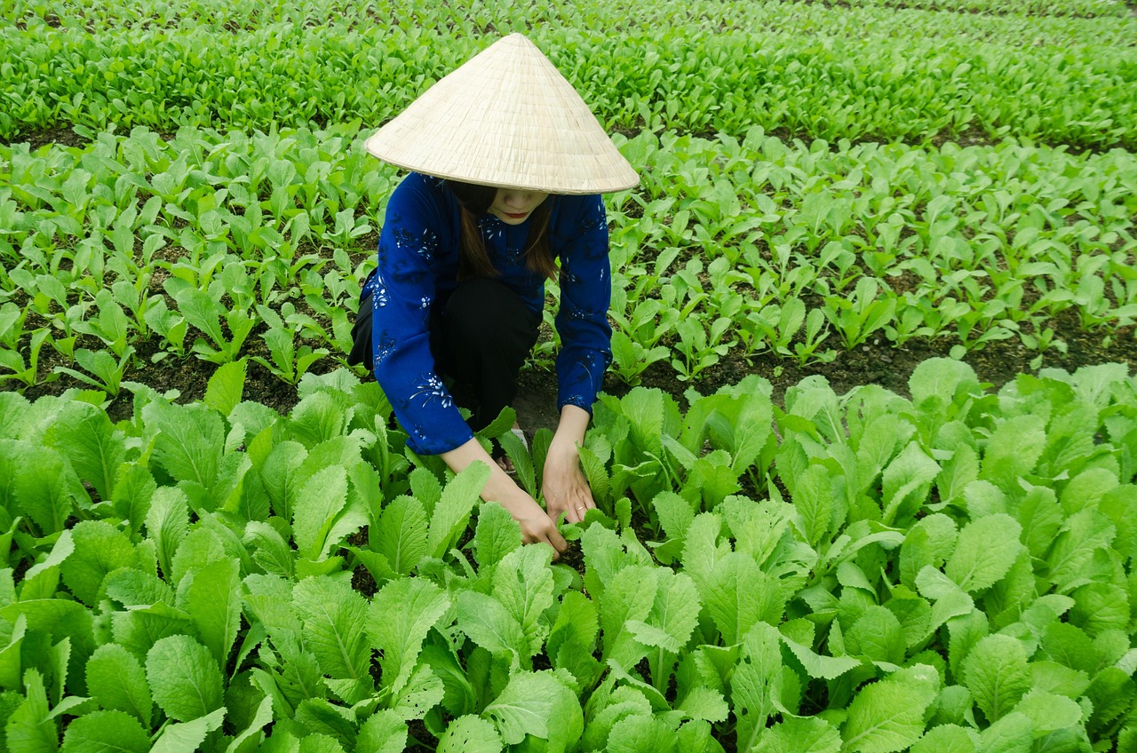 格尔木最新发展动态概览