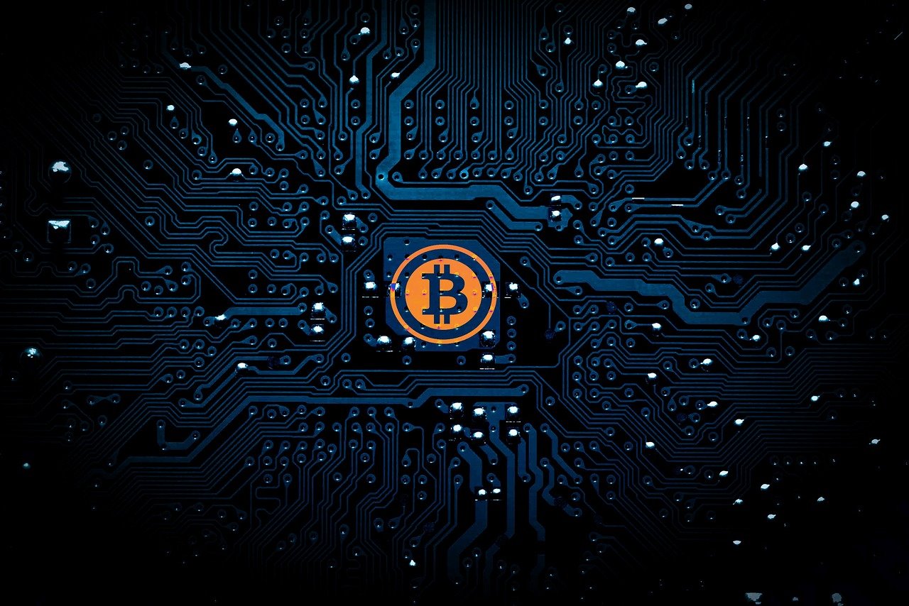 陶叶，演员之路的静谧绽放