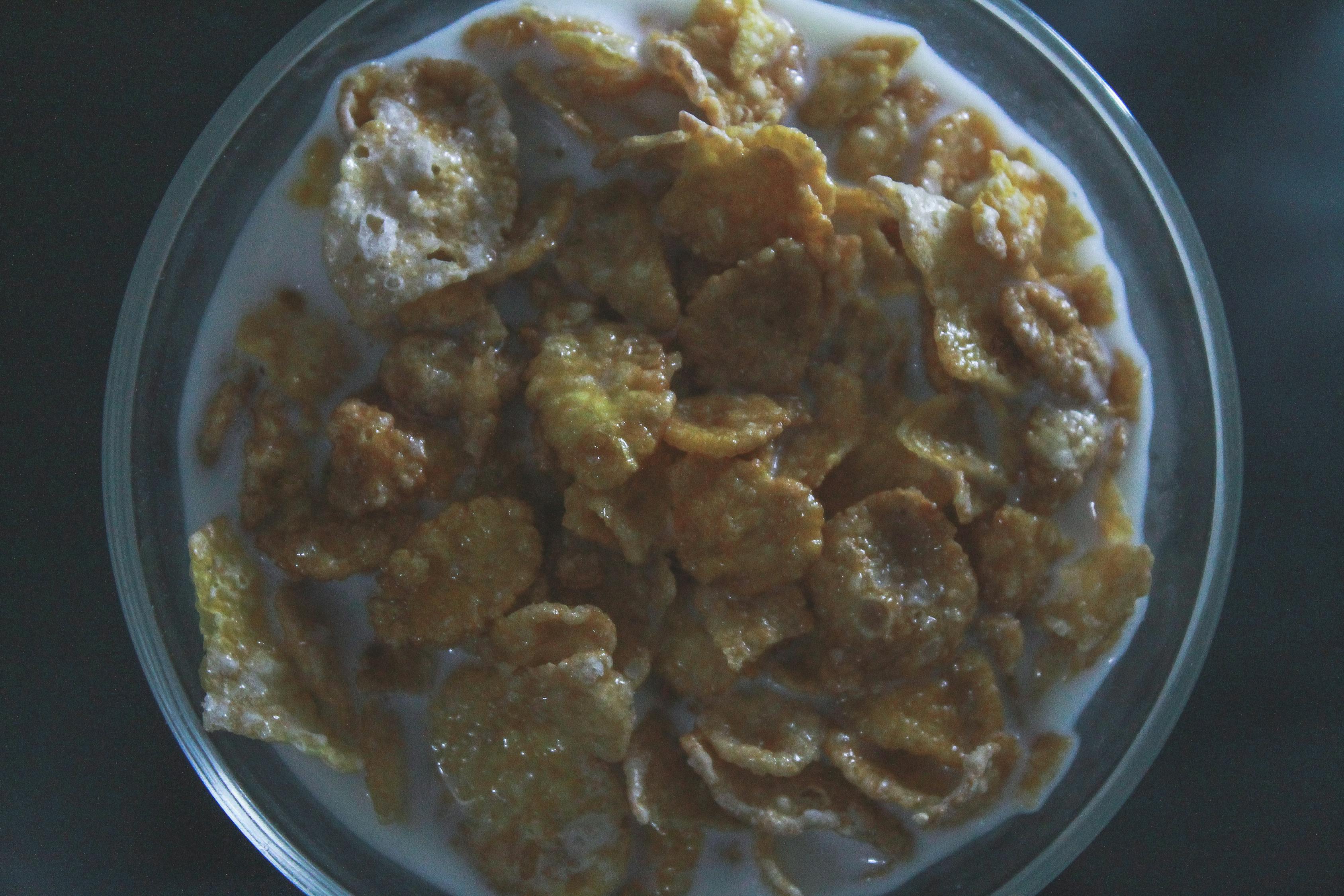 最新热门菜肴精选，探索美食潮流与风味之旅