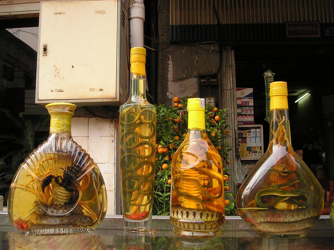 五月剑南春酒香与价格之谜探寻